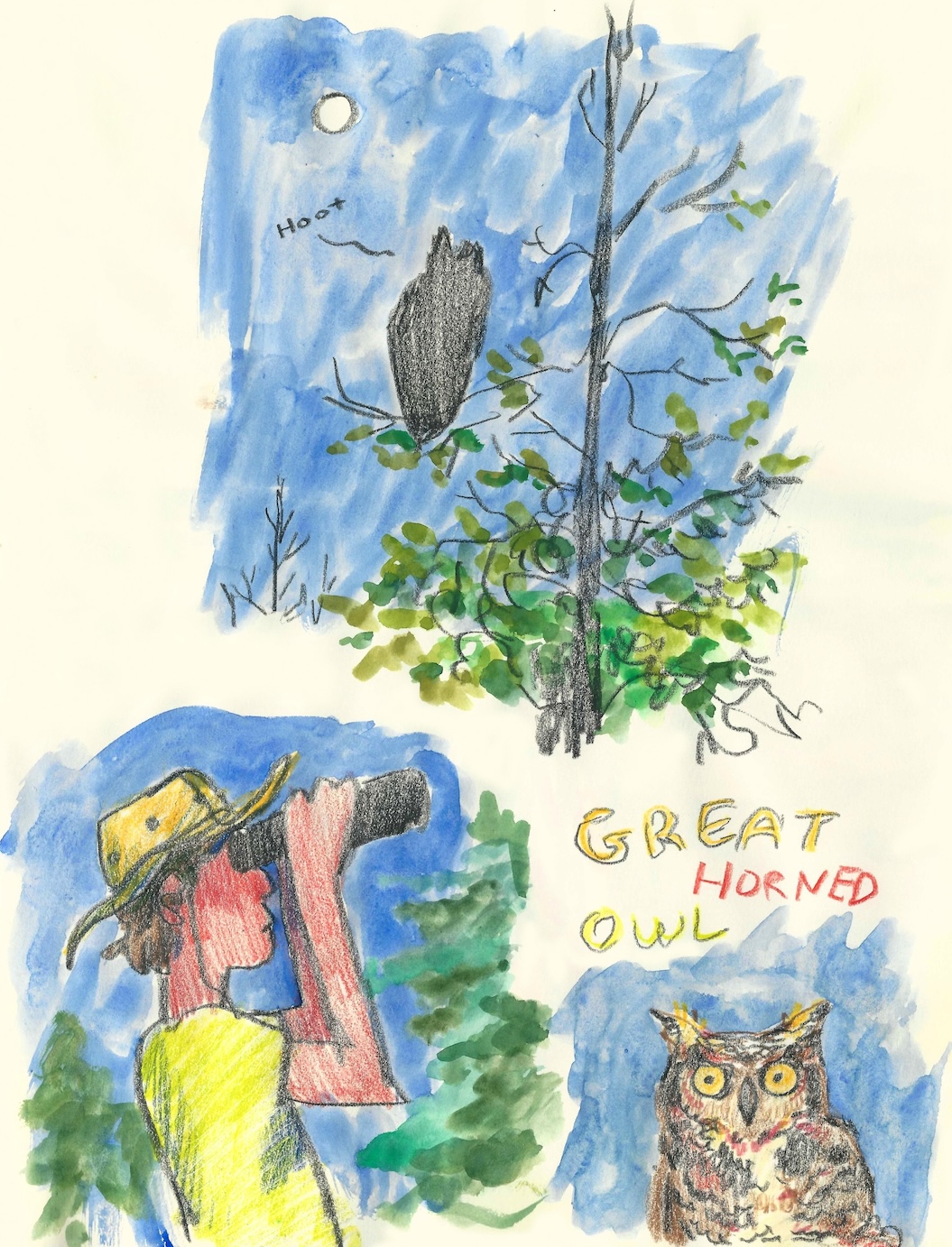 Great Horned Owl